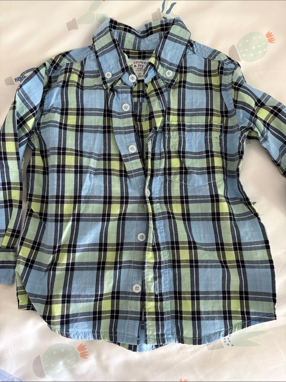 crown & ivy Blue and Light Green Plaid Long-Sleeve Button Shirt